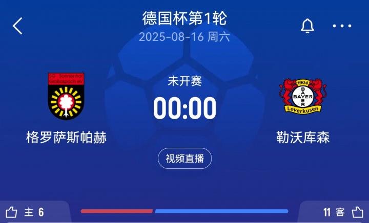 勒沃库森即, 提供了结构